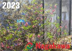 Chương trình chào Xuân điều hòa Nagakawa 2023