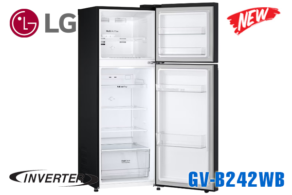 Tủ Lạnh LG Inverter 243 Lít GV-B242WB màu đen [Model 2023]